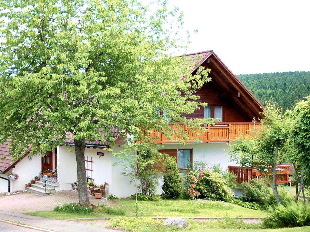 Ferienwohnung Haus Dörflinger Schluchsee Exterior foto